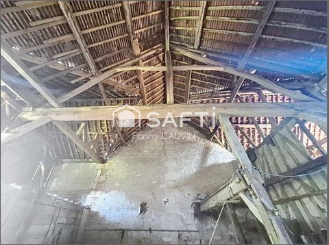photo no. 13