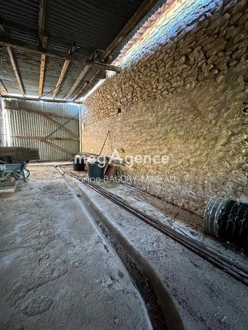 photo no. 4