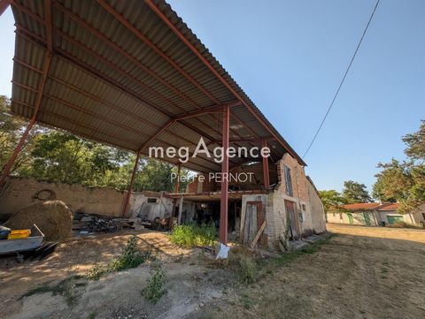 photo no. 2