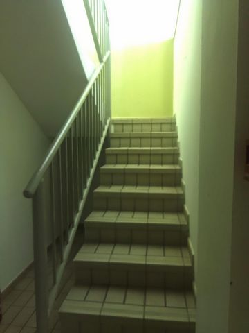 photo no. 6