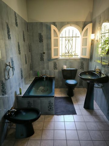 photo no. 10