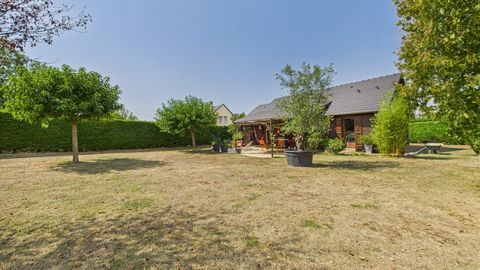 photo no. 13