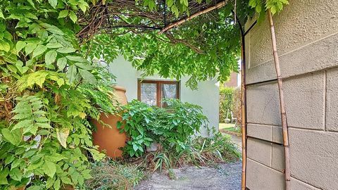 photo no. 12