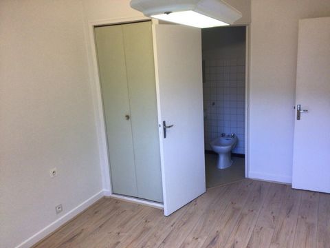 photo no. 8