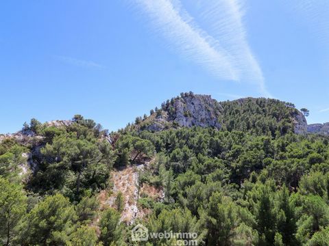 photo no. 14