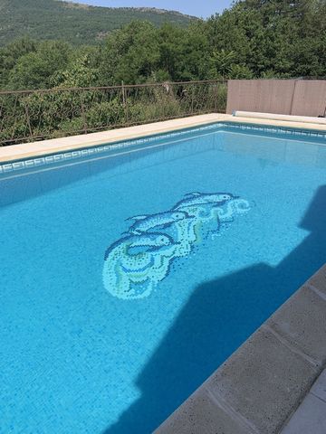 photo no. 18