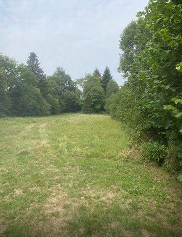 photo no. 6