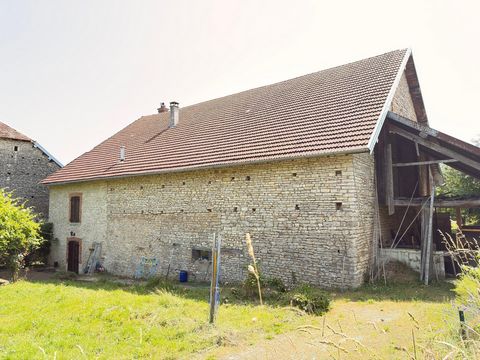 photo no. 3
