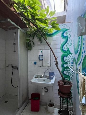 photo no. 12