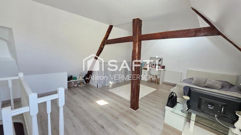 photo no. 11