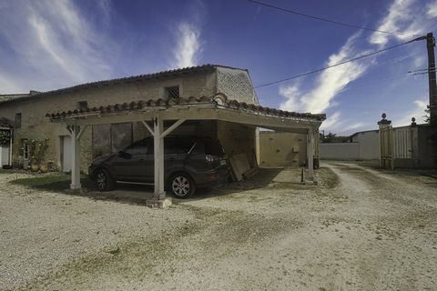 photo no. 13