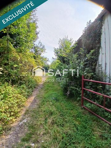 photo no. 1