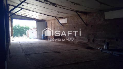 photo no. 2
