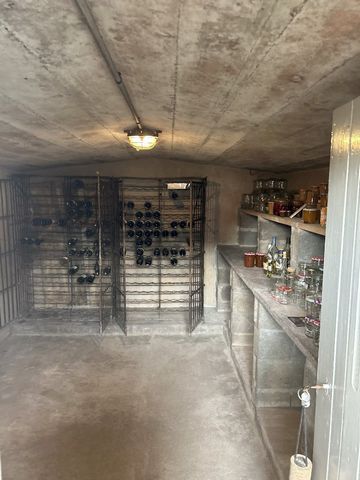 photo no. 16