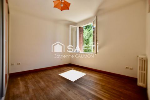photo no. 11
