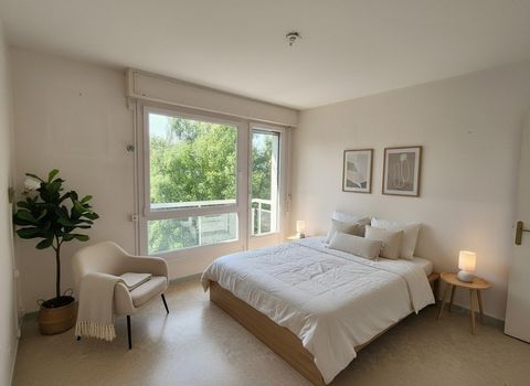 photo no. 11