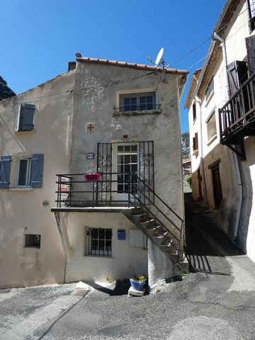 photo no. 9