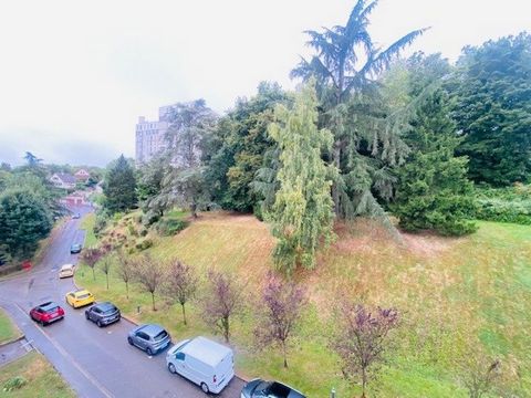 photo no. 6