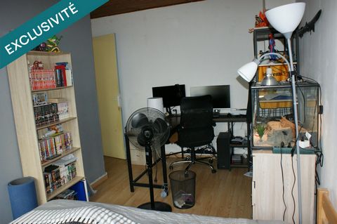 photo no. 6