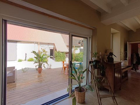 photo no. 9