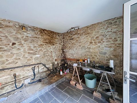 photo no. 11