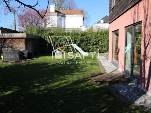 photo no. 11