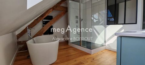 photo no. 12