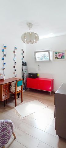 photo no. 12