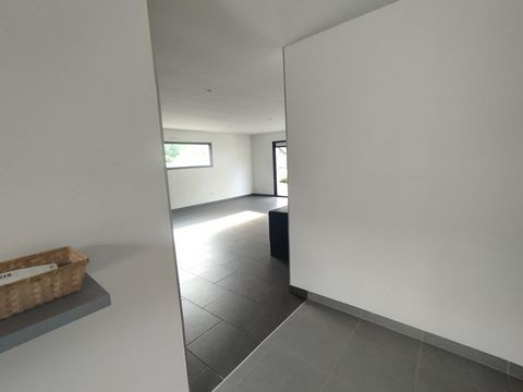 photo no. 7