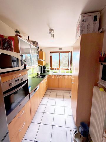 photo no. 3