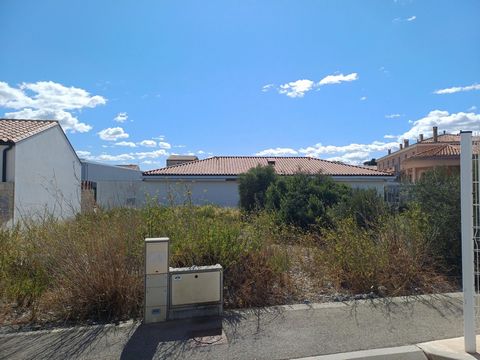 photo no. 1
