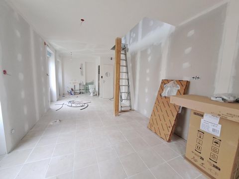 photo no. 12
