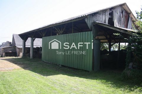 photo no. 5
