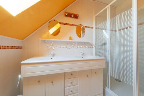photo no. 12