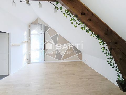 photo no. 10
