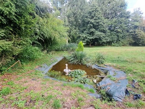 photo no. 13