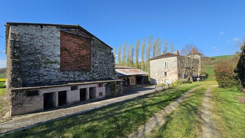 photo no. 17