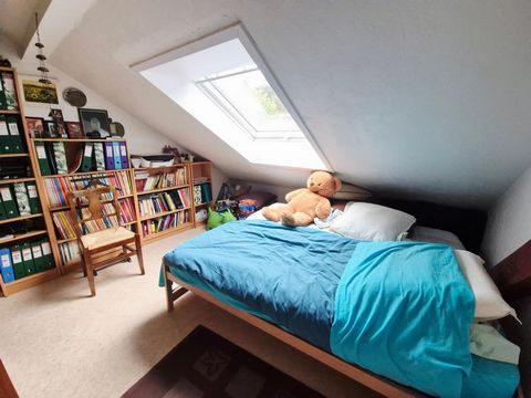 photo no. 12