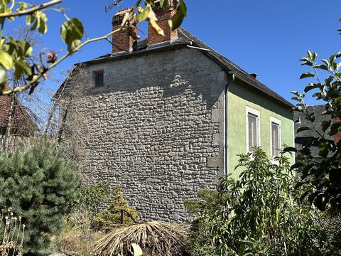 photo no. 8