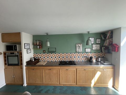 photo no. 11