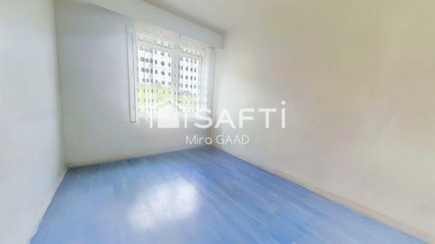 photo no. 11