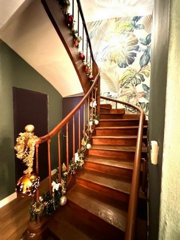 photo no. 7