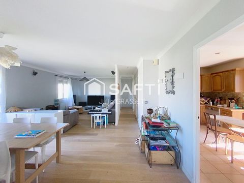 photo no. 11