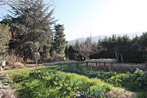photo no. 14