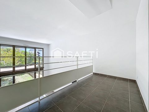 photo no. 11