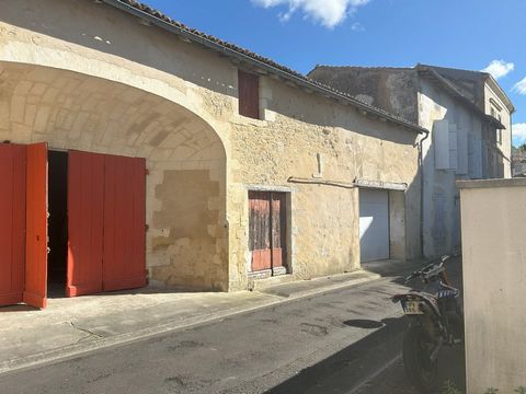 photo no. 4