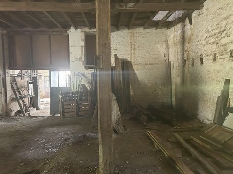 photo no. 10