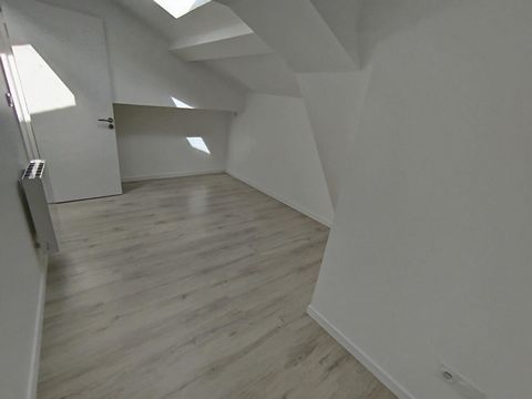 photo no. 9