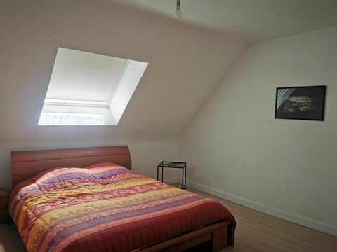 photo no. 11