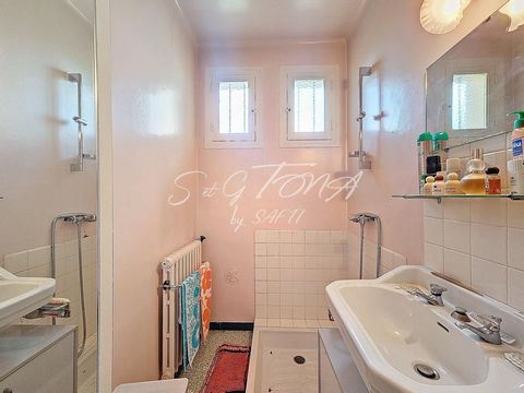 photo no. 12